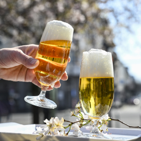 Bierführung: Maloche, Malz & anne Theke